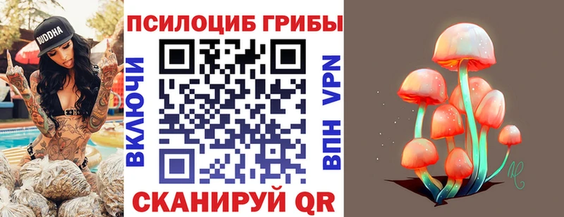 Галлюциногенные грибы Psilocybine cubensis  Лангепас 