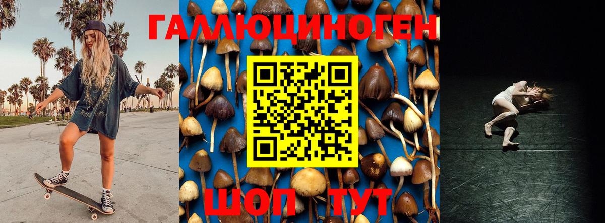 купить наркотик  Вход с VPN  Лангепас  Псилоцибиновые грибы Cubensis 